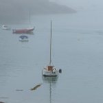 Illustration du profil de Catherine HALLE MANGANI