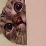 Illustration du profil de TIXADOR